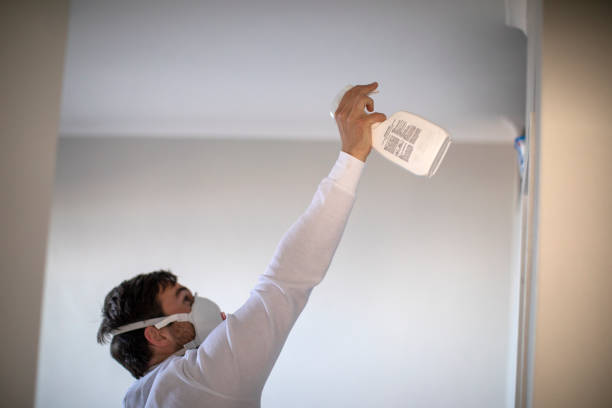 Best Emergency Mold Removal  in Palo, IA