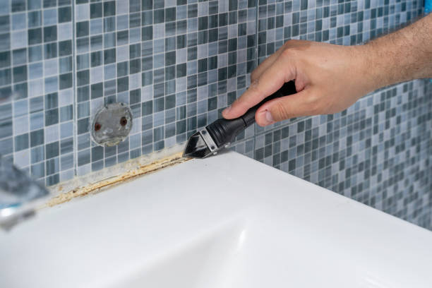 Mold Testing and Removal in Palo, IA